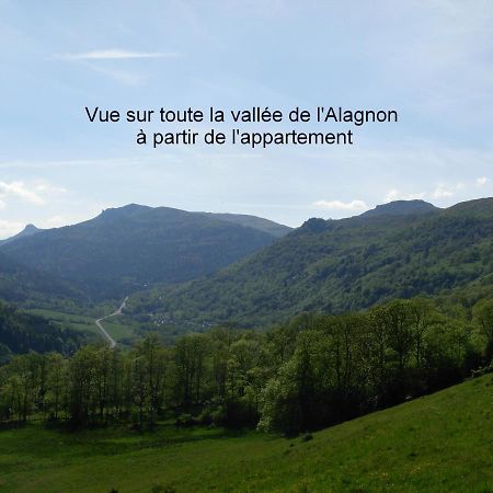Vacances Au Pied Des Monts Du Cantal Laveissiere Luaran gambar