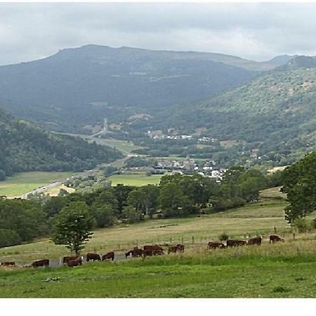 Vacances Au Pied Des Monts Du Cantal Laveissiere Luaran gambar