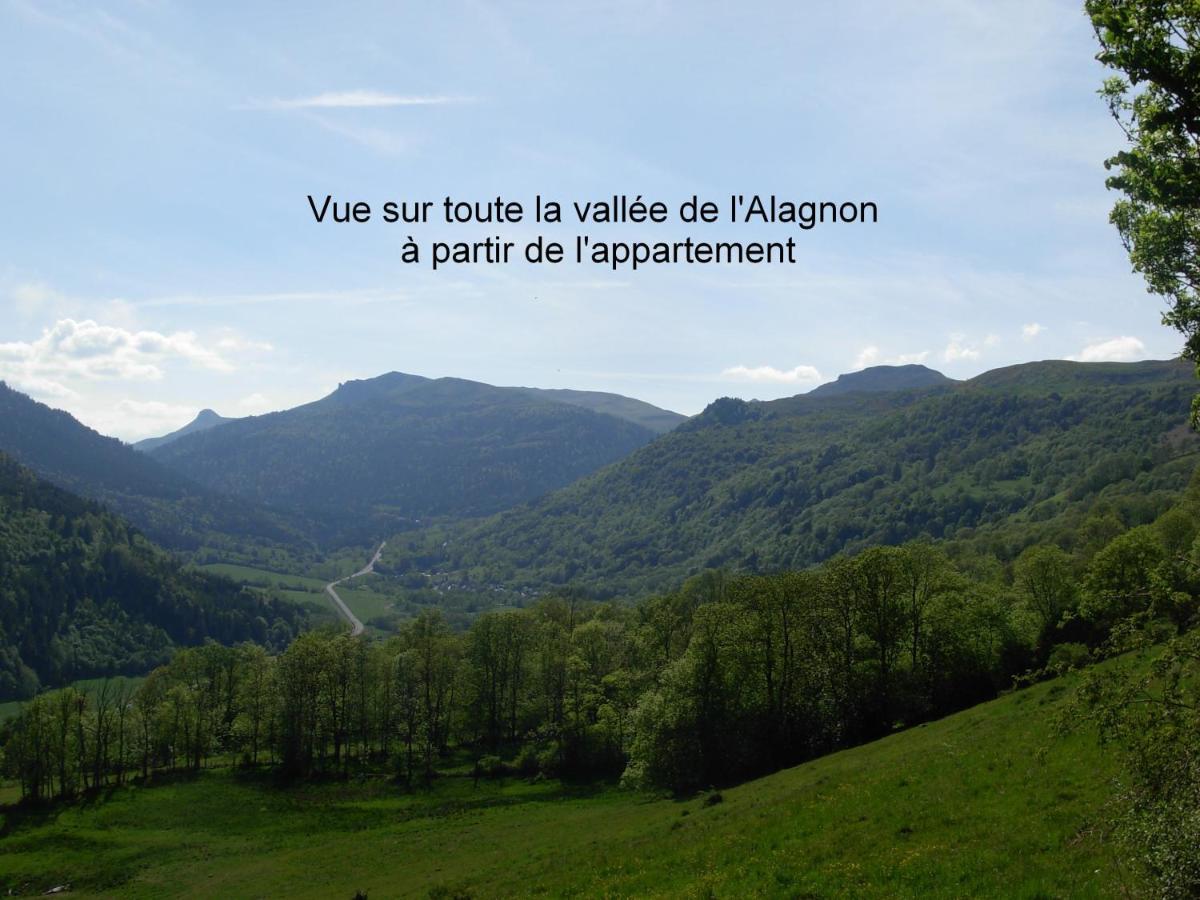 Vacances Au Pied Des Monts Du Cantal Laveissiere Luaran gambar