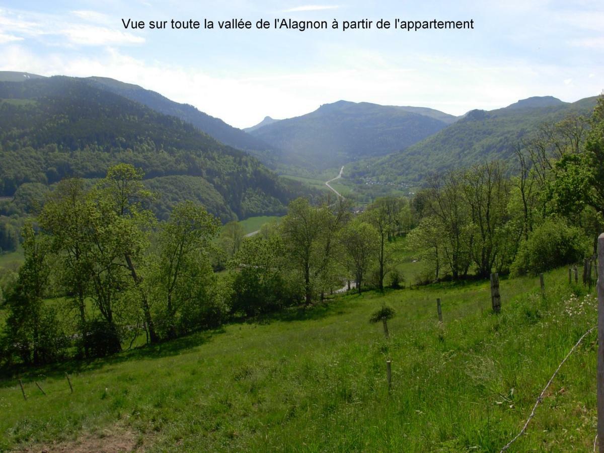 Vacances Au Pied Des Monts Du Cantal Laveissiere Luaran gambar