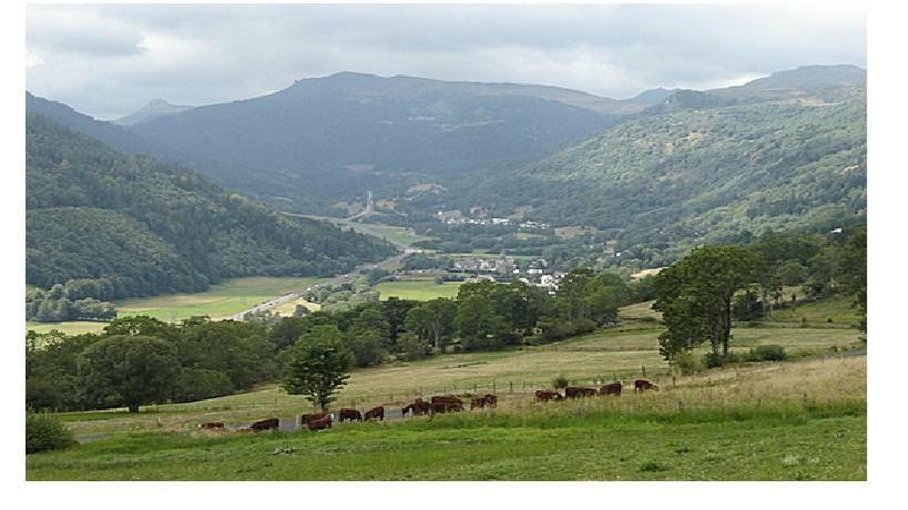 Vacances Au Pied Des Monts Du Cantal Laveissiere Luaran gambar