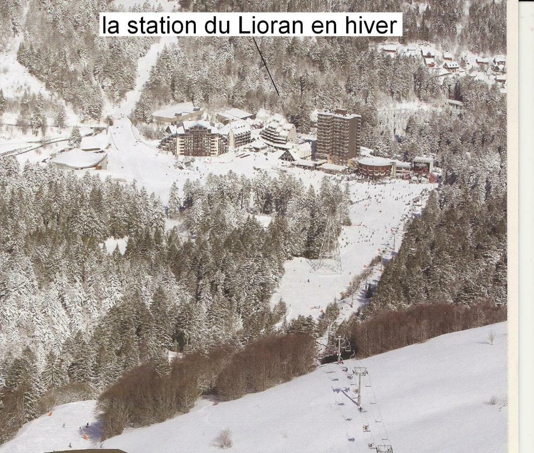Vacances Au Pied Des Monts Du Cantal Laveissiere Luaran gambar